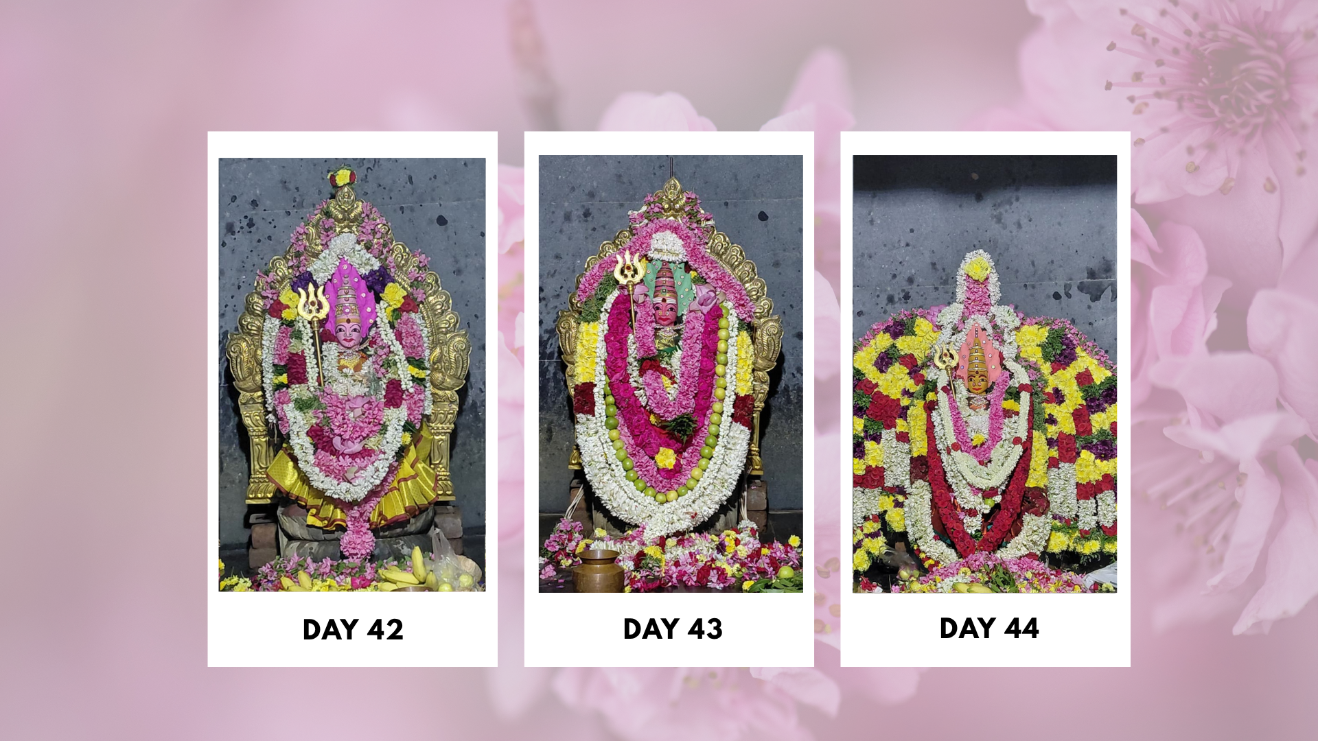 Sri-Boomadevi-Erode-kumbabishekam Photos