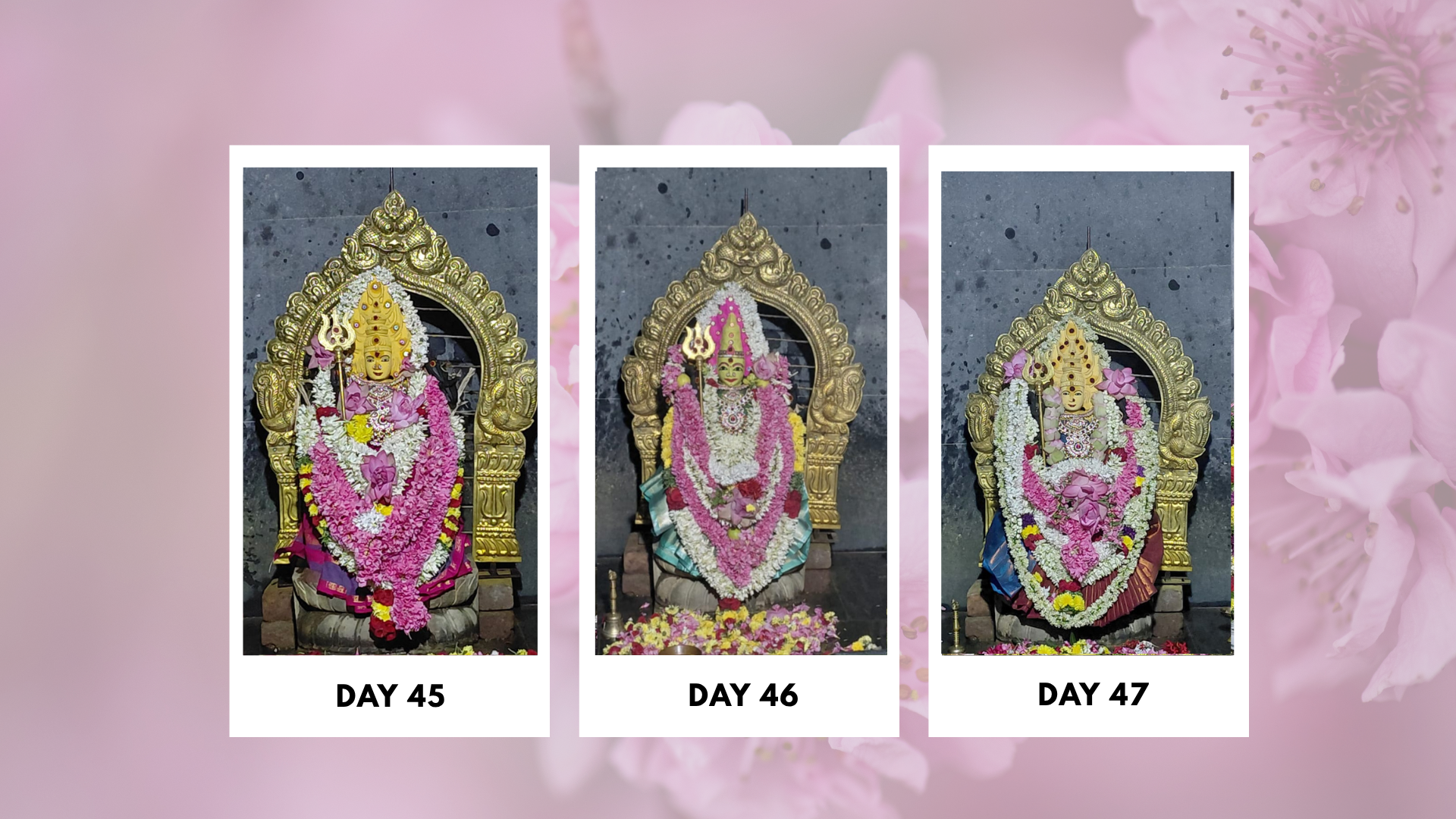 Sri-Boomadevi-Erode-kumbabishekam Photos