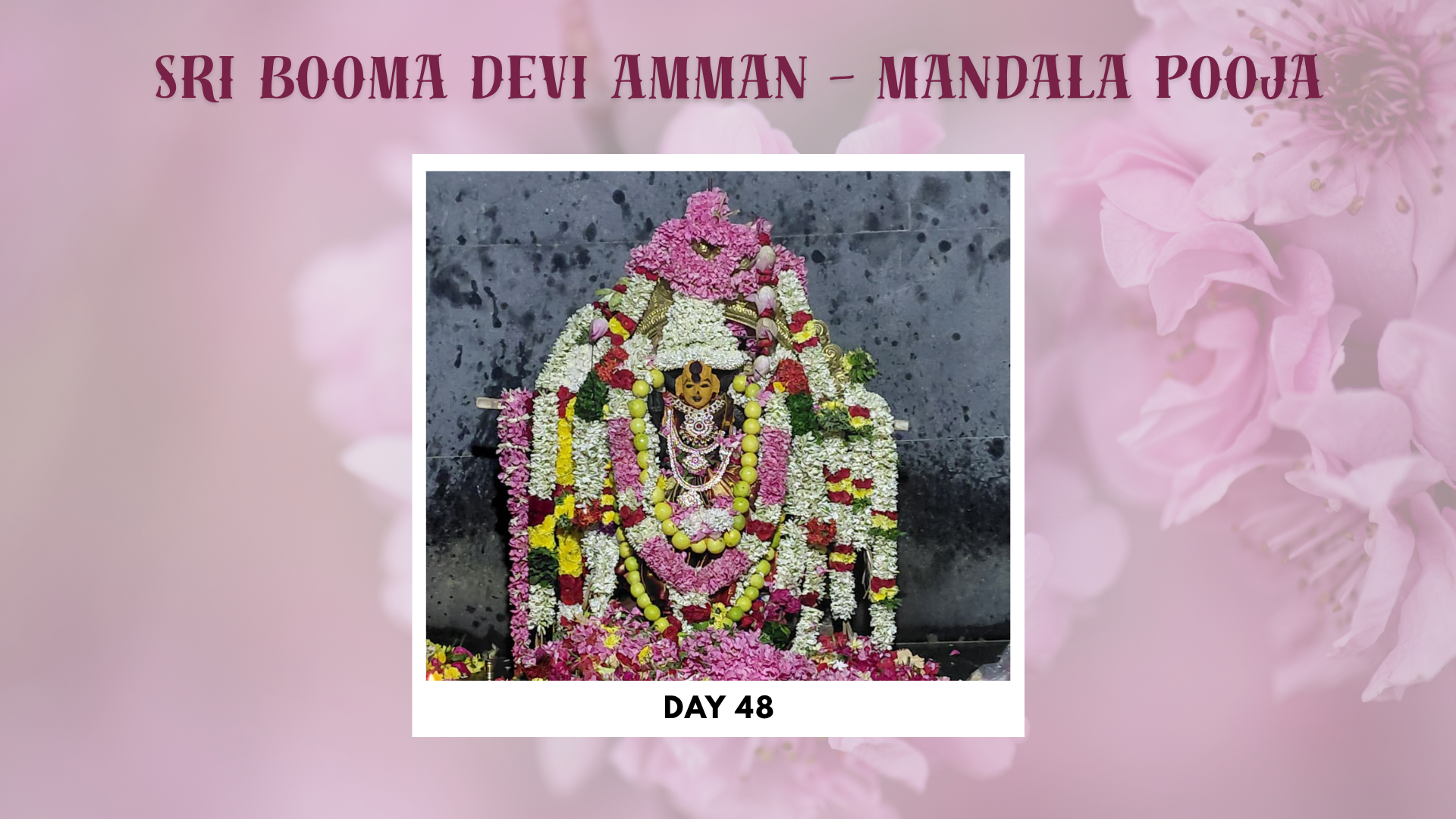 Sri-Boomadevi-Erode-kumbabishekam Photos