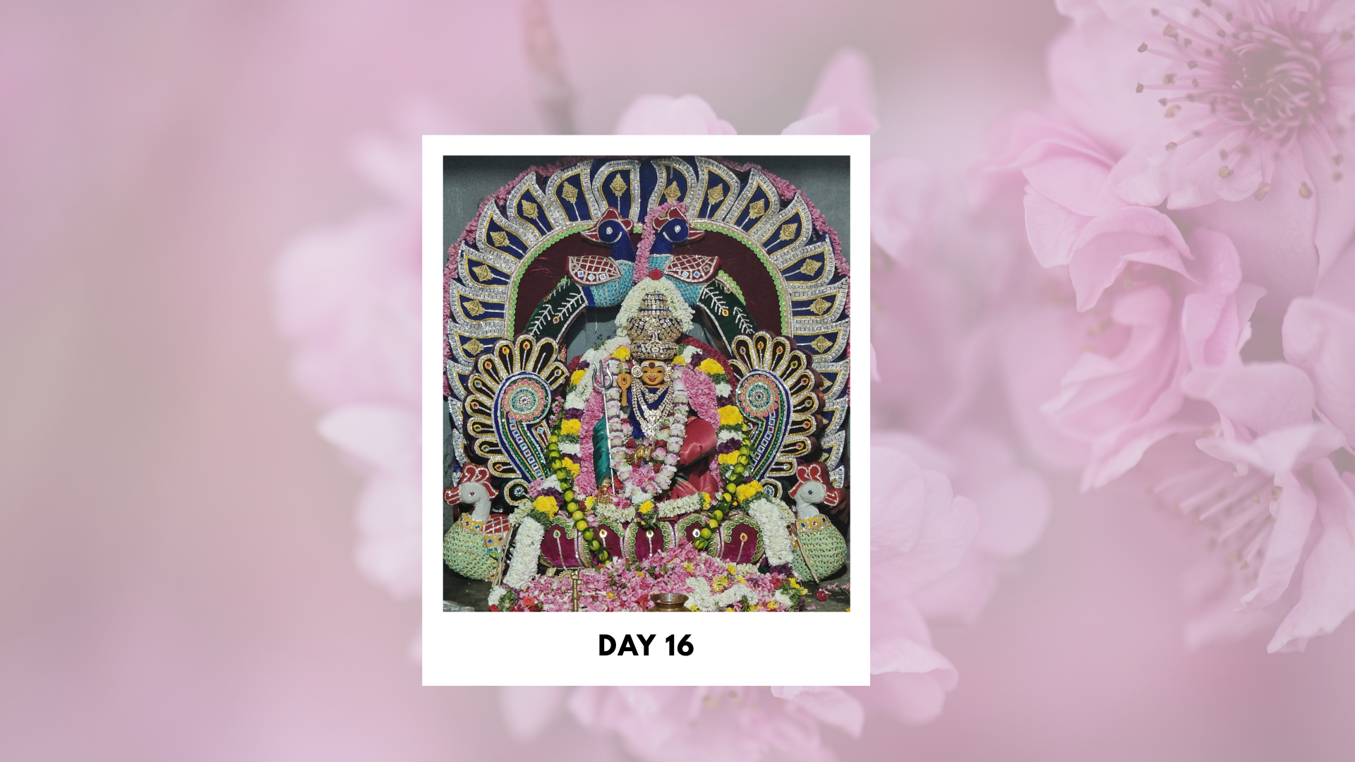 Sri-Boomadevi-Erode-Mandala-Pooja-Photos